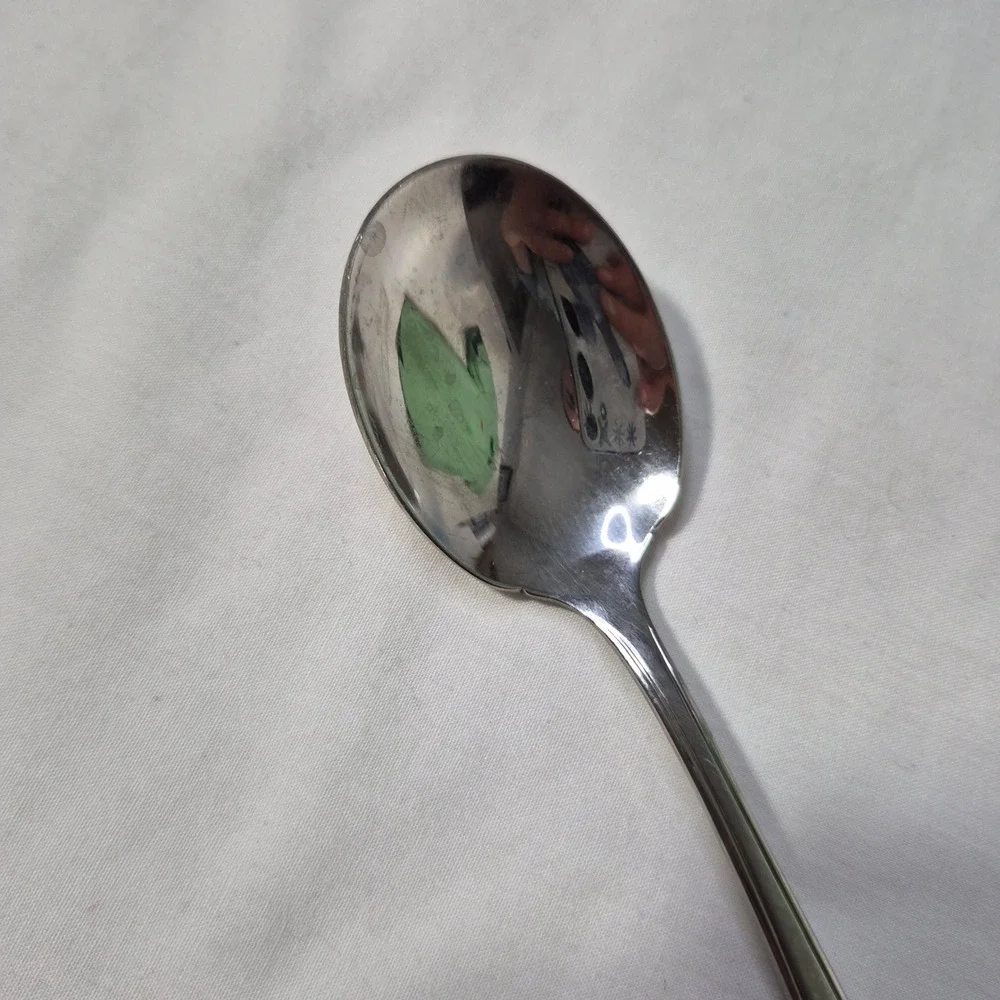 Sugar Spoon Oneida Wm A Rogers Deluxe Stainless Spoon Summer Mist Autumn Glow